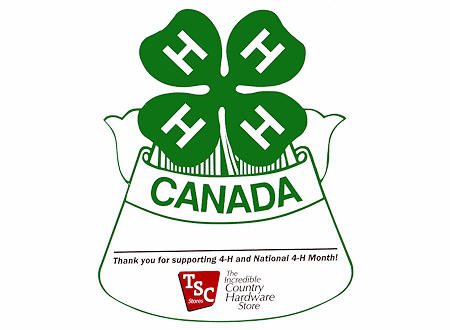 Royle Print Graphics | Ottawa Printing and Graphics | Forms Business Cards | Print Solutions | Royle Printing & Graphics